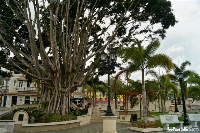 Plaza de Adjuntas - ZeePuertoRico.com